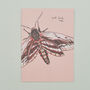 Handmade Greeting Card Privet Hawk Moth, Recycled Card, thumbnail 1 of 6