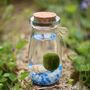 Marimo Moss Ball Terrarium In Glass Milk Jar, thumbnail 1 of 5