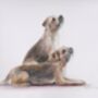 Personalised Pet Portrait Drawing From Your Photos, thumbnail 1 of 7