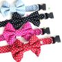 Slide On Dog Collar Bow In Blue, Red, Pink And Black, thumbnail 1 of 10