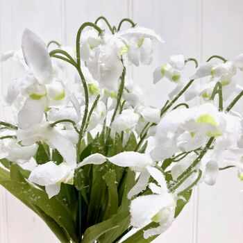 Everlasting Bouquet Of Snowdrops, 2 of 2