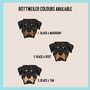 Rottweiler Portrait T Shirt, thumbnail 4 of 6