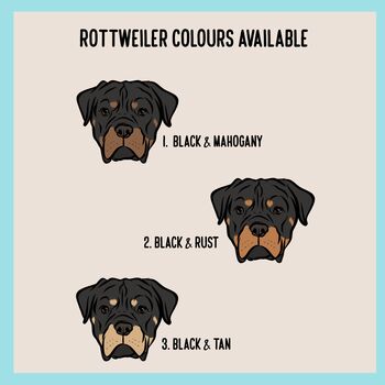 Rottweiler Portrait T Shirt, 4 of 6