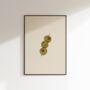 Olive Print, thumbnail 1 of 5
