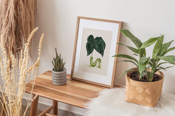 Anthurium Leaf Plant Illustrated A4 Art Print, 4 of 12