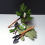 Summer Salad Planting Collection Gift Box, thumbnail 3 of 6