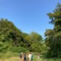 Introduction To Foraging Experience In Brighton, thumbnail 5 of 8