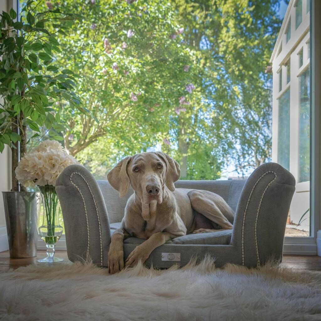 Luxury Fabric Sofa Dog Bed By Filthy animal