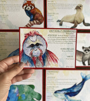Endangered Species Flash Cards, 5 of 9