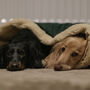 Velour Dog Snuggle Beds, thumbnail 11 of 12