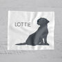 Personalised Labrador Glasses Cleaning Cloth, thumbnail 1 of 3