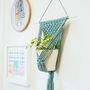 D.I.Y. Macrame Wall Plant Hanger Kit, thumbnail 5 of 8