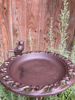 Freestanding Cast Iron Bird Bath – Metal Garden Feature, 9 of 10