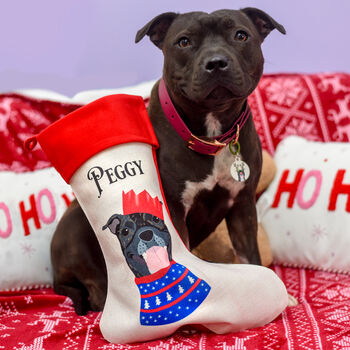 Personalised Party Dog Christmas Present Stocking, 11 of 12