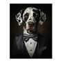 Dalmation Dinner Jacket Portrait Dog Wall Art Print, thumbnail 6 of 6