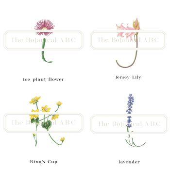 Botanical Art Small Flower Letter Print, 7 of 11