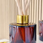 Amber Glass Diffuser Bottle And Reed Set, thumbnail 3 of 9