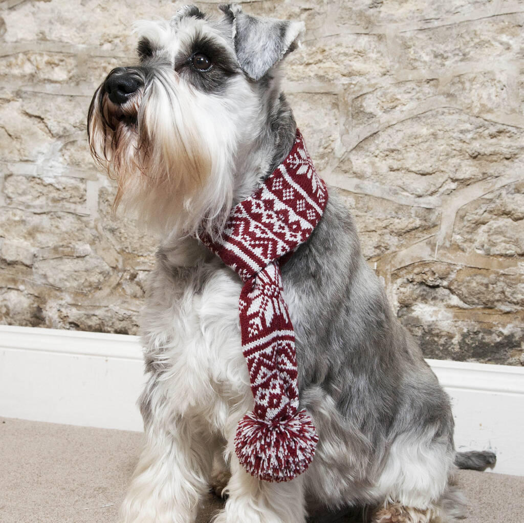 Knitted Christmas Snowflake Dog Scarf, 1 of 7