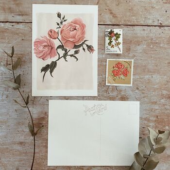 Rose Luxury Botanical Print, 4 of 6