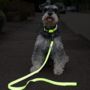 Neon Reflective Dog Collar And Lead Set, thumbnail 1 of 5