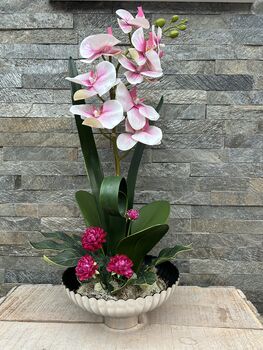 Large Pink Phalenopsis Orchid In Silver Fluted Bowl, 6 of 9