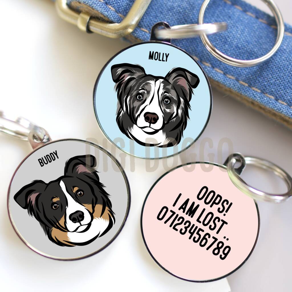 Border Collie ID Tag, 1 of 4