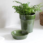 Green Plant Pot With Saucer, thumbnail 3 of 3