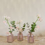 Pink Glass Bottle Vases Set Of Three, thumbnail 7 of 7