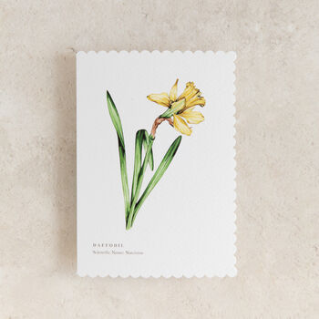 Daffodil Floral Watercolour Greetings Card, 2 of 2