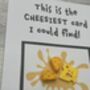 Cheese Polymer Clay Birthday Card Handmade, thumbnail 11 of 12