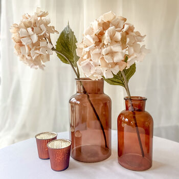 Amber Brown Glass Botanical Bottle Vase, 4 of 5