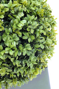 Petite Artificial Buxus Topiary Ball, 2 of 4