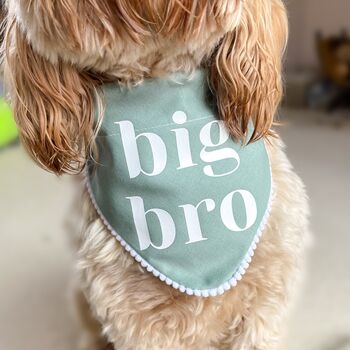 Big Sis Or Bro Pastel Dog Bandana, 2 of 8