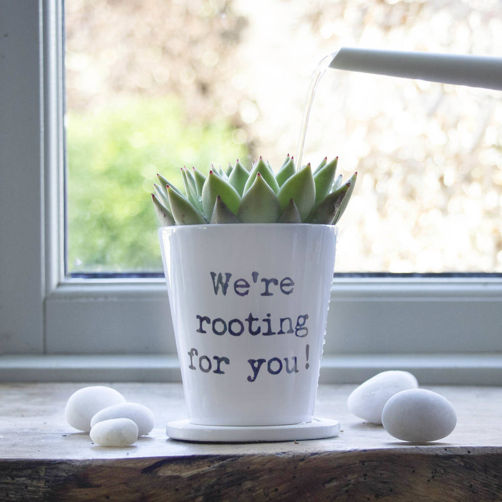 personalised typewritten quote plant pot by snapdragon