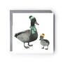 Duck And Duckling Winter Wishes Greeting Card, thumbnail 1 of 4