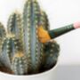 Pink Mini Cactus Cleaner Brush Set, thumbnail 3 of 3