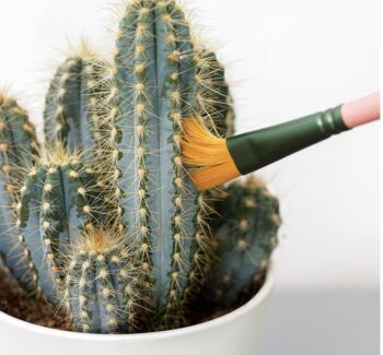 Pink Mini Cactus Cleaner Brush Set, 3 of 3