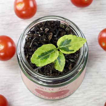 Personalised Cherry Tomato Jar Grow Kit, 10 of 12