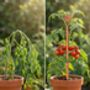 Copper Spiral Plant Support Stake, thumbnail 5 of 9