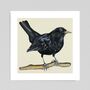Blackbird Fine Art Print, thumbnail 1 of 3