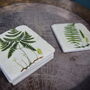 Fern Coasters Set Of Four Table Protectors Plant Lover, thumbnail 4 of 6