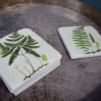 Fern Coasters Set Of Four Table Protectors Plant Lover, 4 of 6