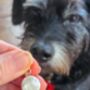 Personalised Silver Organic Dog Nose Print Charm, thumbnail 2 of 10