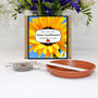 Grow Your Own Giant Sunflower. Seeds Growing Kit, thumbnail 2 of 4