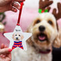 Personalised Pet Portrait Christmas Hanging Decoration, thumbnail 11 of 12