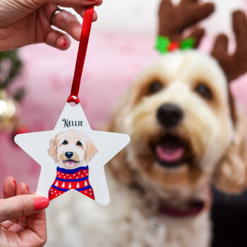 Personalised Pet Portrait Christmas Hanging Decoration, 11 of 12