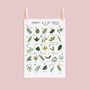 The A To Z Of Trees Print, thumbnail 3 of 6