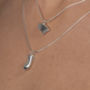 Botanical Silver Necklace And Pendants, thumbnail 2 of 3