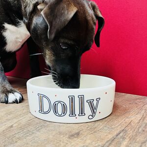 Dog Bowl With Name, Custom Pet Food Bowl, Personalized Dog Feeding Bowl,  Puppy Gift 