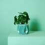 Origami Self Watering Eco Plant Pot: 15cm | Aqua, thumbnail 1 of 5